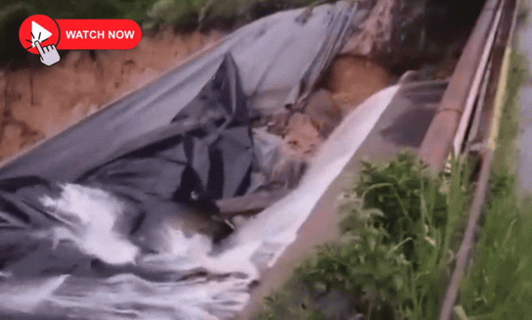 202601dam-wall-collapse