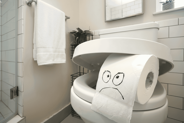 202601envato-labs-image-edit-61