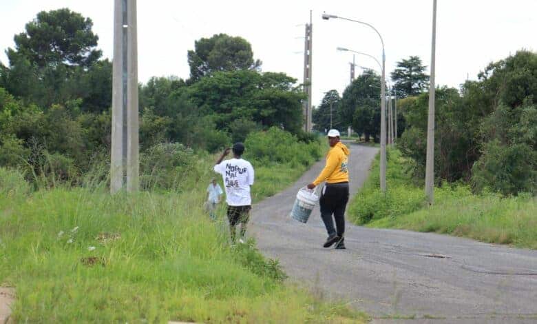 202601overgrown-road