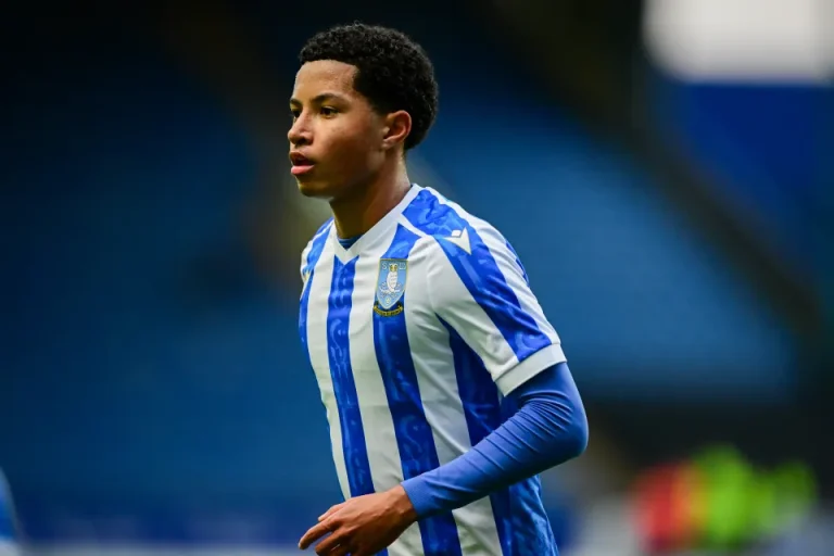 yisa-alao-sheffield-wednesday-sky-1052229720