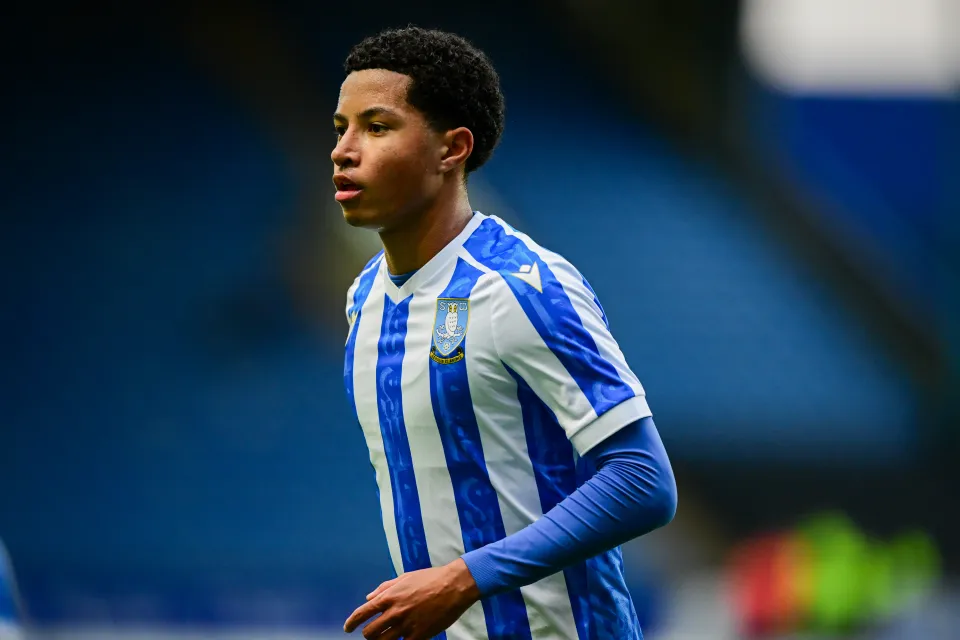 yisa-alao-sheffield-wednesday-sky-1052229720