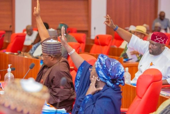 202406Some-Northern-Nigeria-Senators-Disagree-As-Senate-Advances-Bill-To-Ban-Open-Grazing