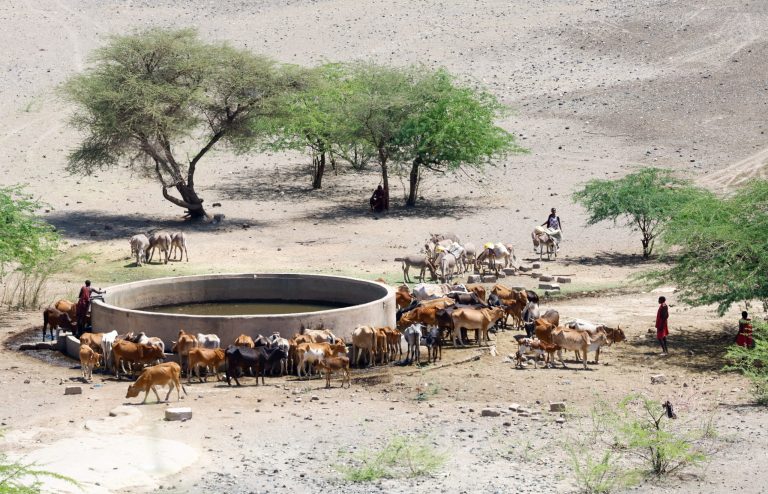 2026022026-02-05T203523Z_4678014_RC2KFJARUM2G_RTRMADP_3_KENYA-DROUGHT-scaled-1