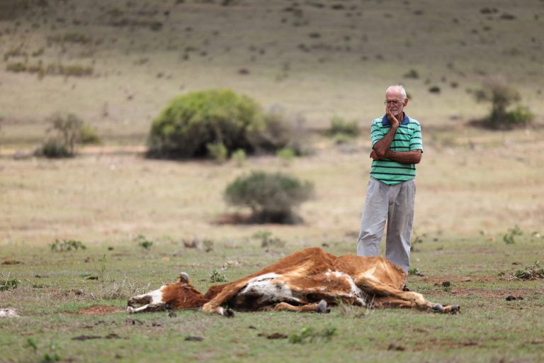 2026022026-02-12T084438Z_2130113886_RC2CGJAORB0R_RTRMADP_3_CLIMATE-CHANGE-SAFRICA-DROUGHT-scaled-1