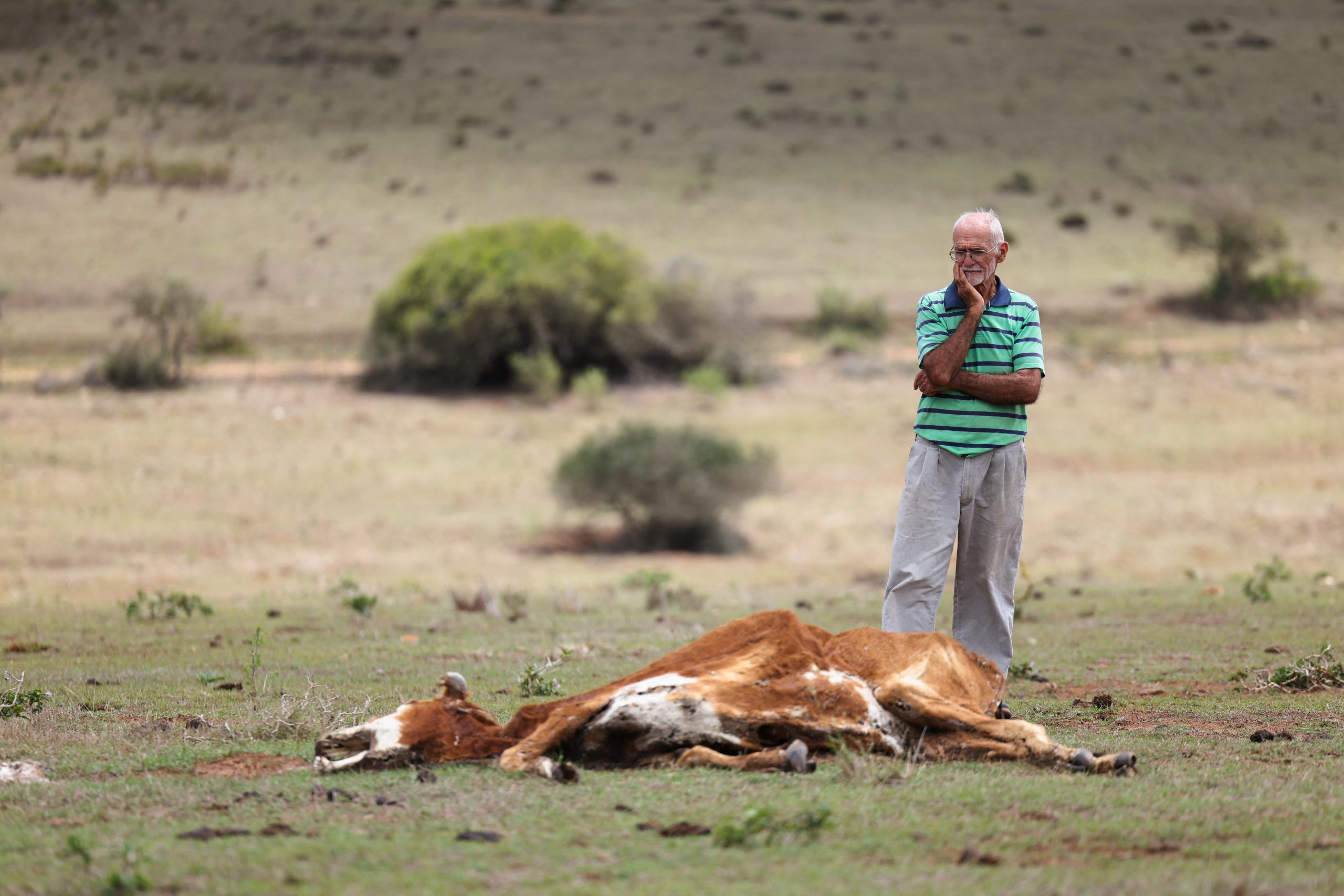 2026022026-02-12T084438Z_2130113886_RC2CGJAORB0R_RTRMADP_3_CLIMATE-CHANGE-SAFRICA-DROUGHT-scaled-1