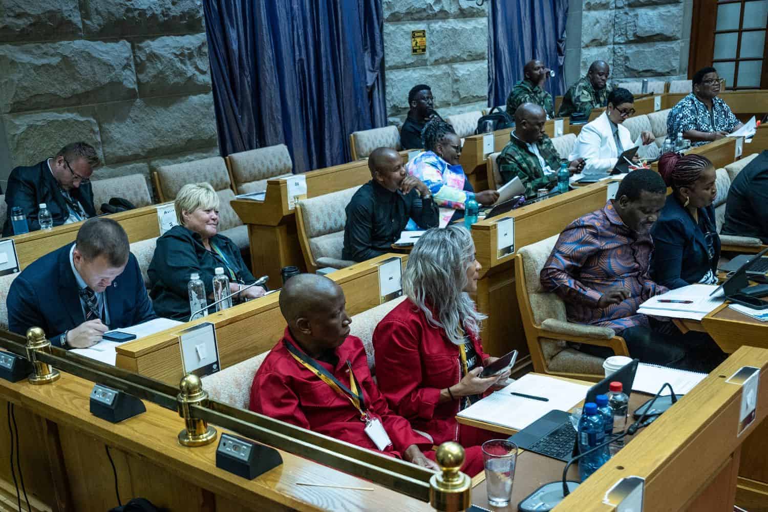 202602Ad-hoc-committee-whistle-blower-Patricia-Morgan-Mashale