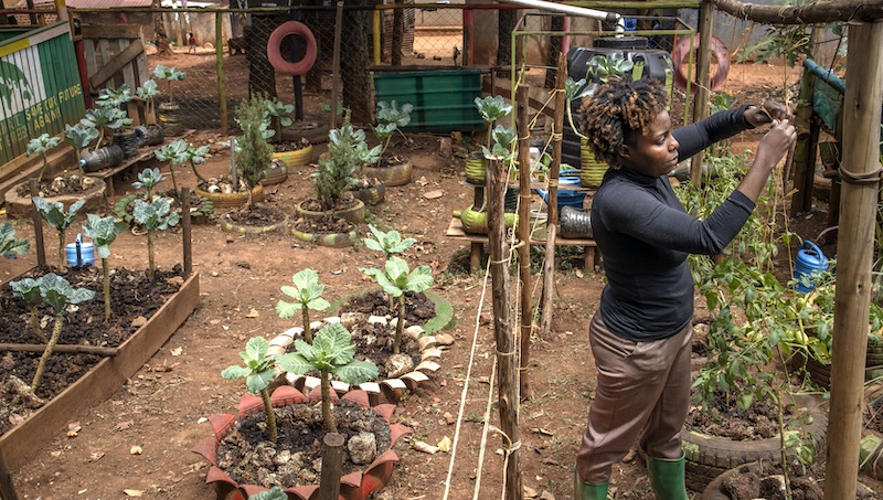 202602Cate-Nabankema-at-her-veg-garden