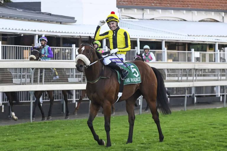 2025 Hollywoodbets Durban July