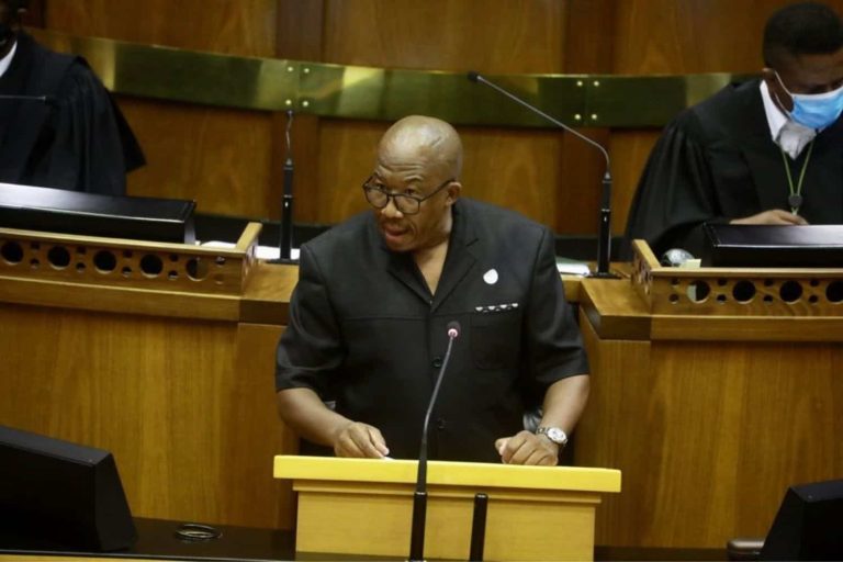 202602DA-MP-Mlindi-Nhanha-defamation-NPA-appeal