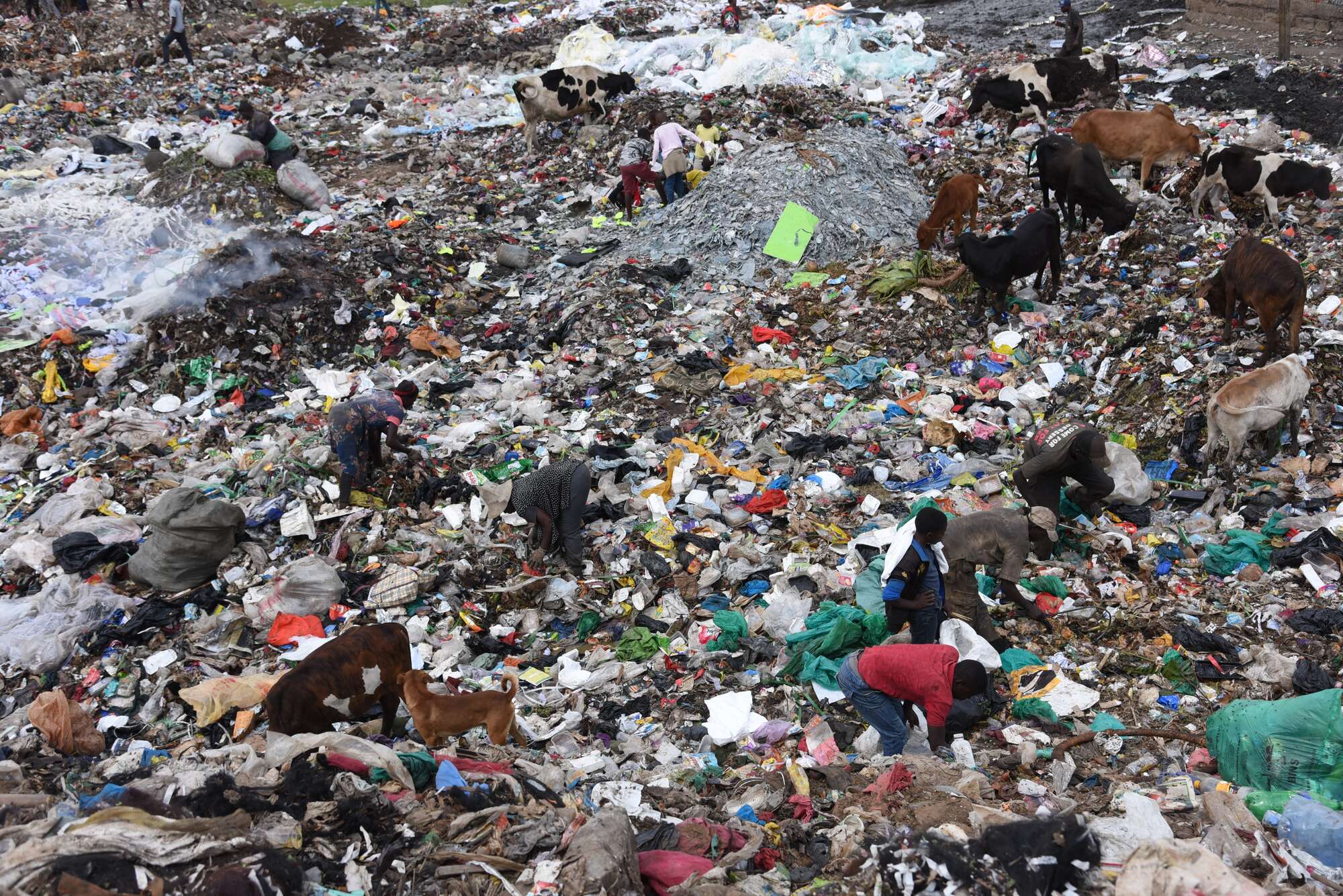 202602DNDANDORASITE0912hj