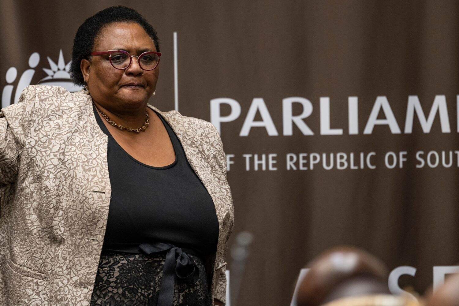 202602Didiza-Brown-Mogotsi-Paul-OSullivan-ad-hoc-committee