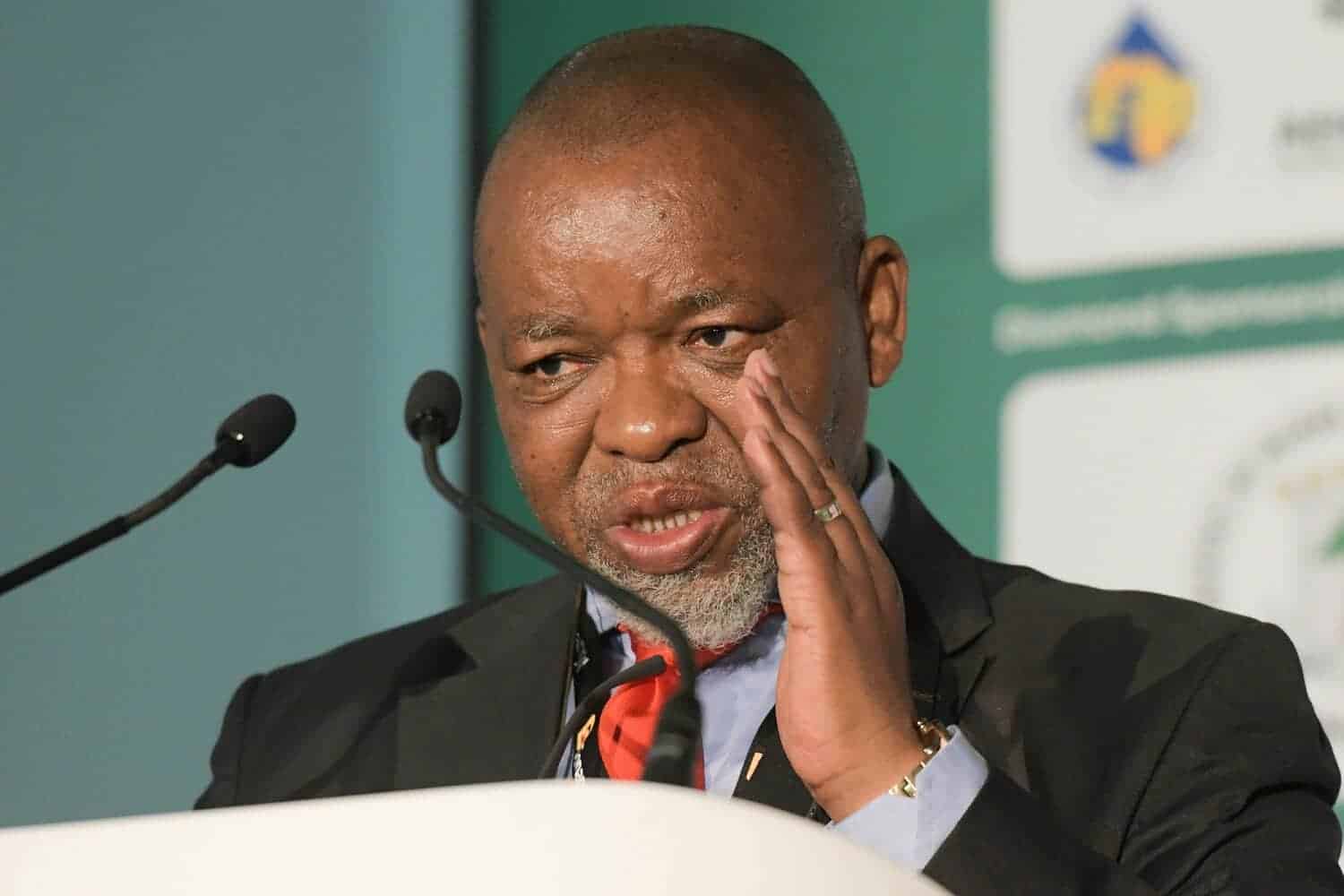 202602Gwede-Mantashe