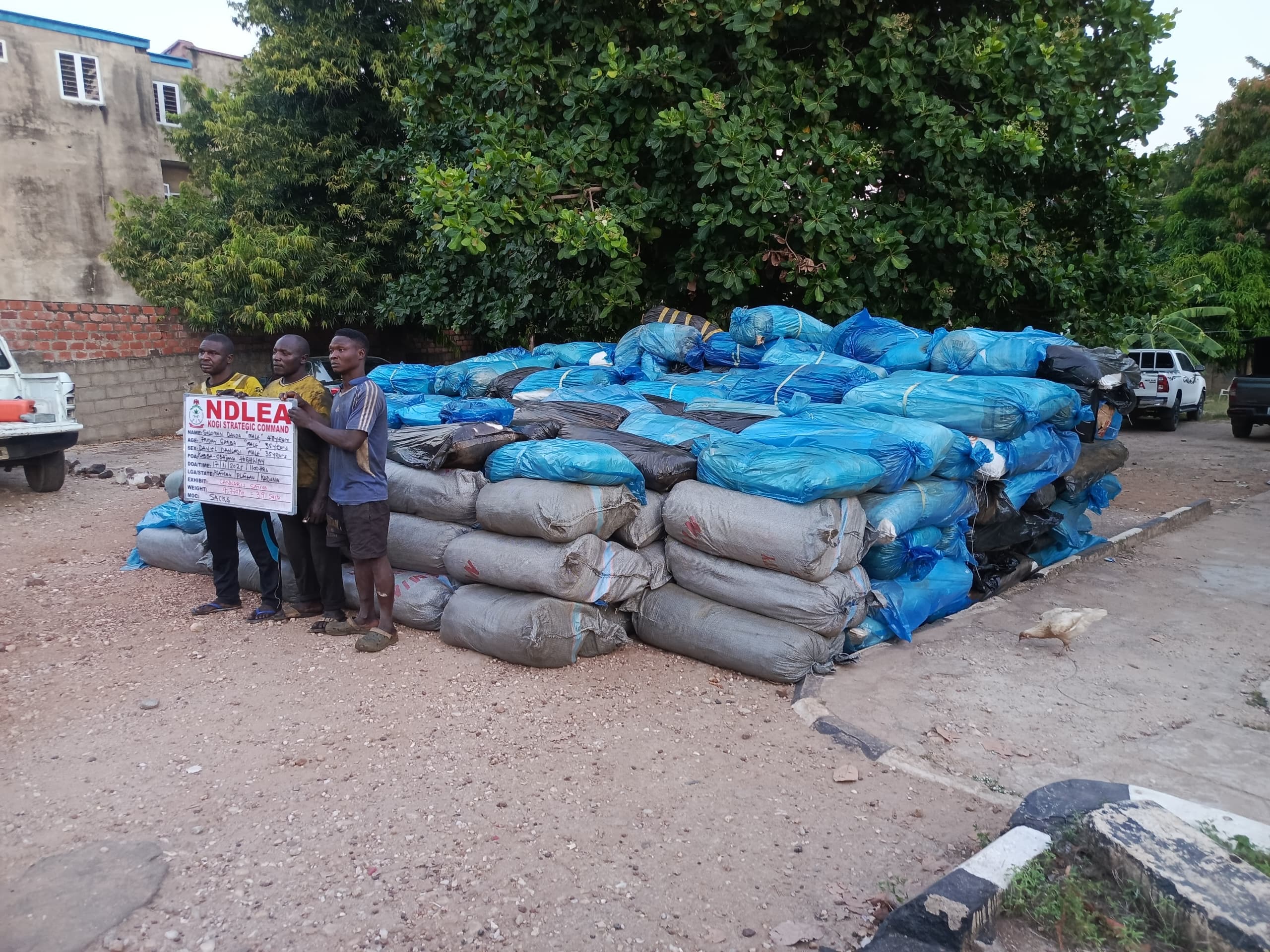 202602Illicit-Drugs-