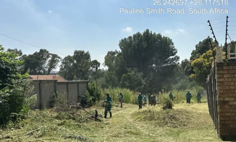 202602Johannesburg-City-Parks-and-Zoo