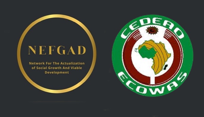 202602NEFGAD-Drags-FG-To-ECOWAS-Court-Over-Alleged-Post-Assent-Alteration-Of-Nigerias-Tax-Laws