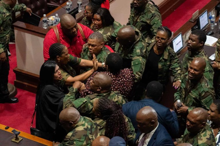 202602NFP-MK-party-KZN-legislature