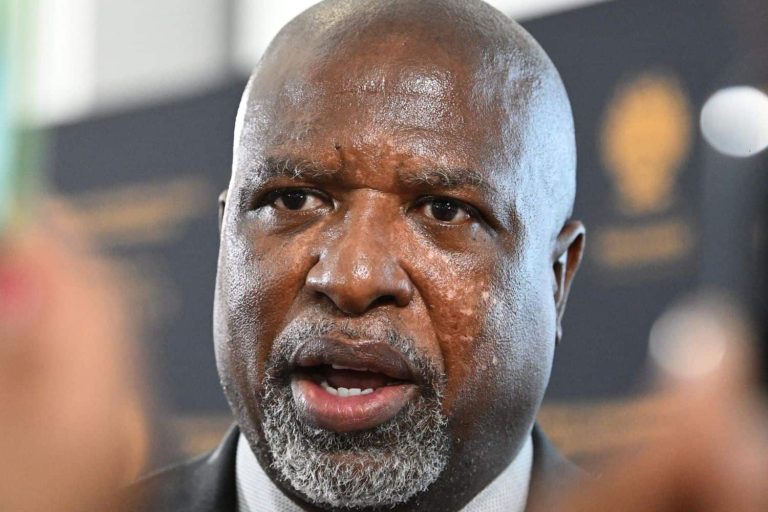 202602Parliament-ad-hoc-committee-Pheladi-Matjaola