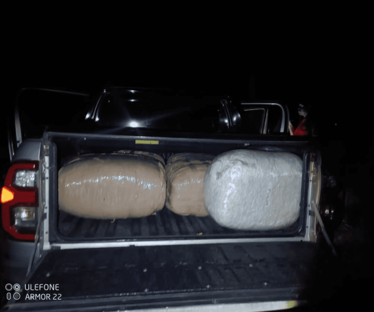 202602Untitled-design-1