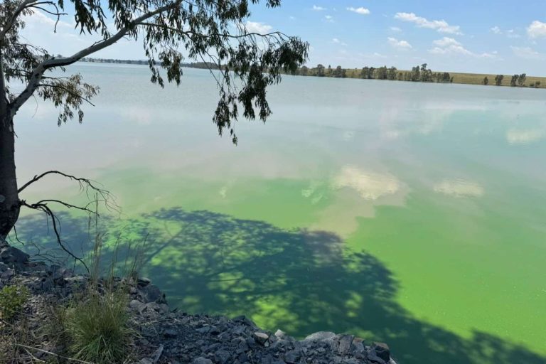 202602Vaal-water-quality