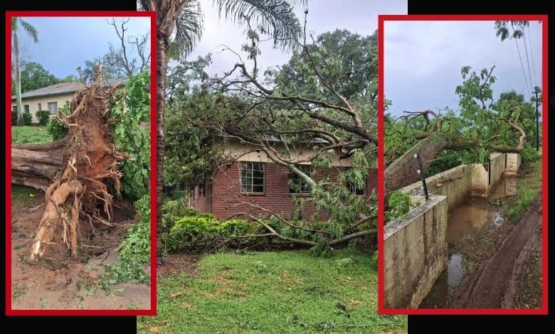 202602croc-valley-storms