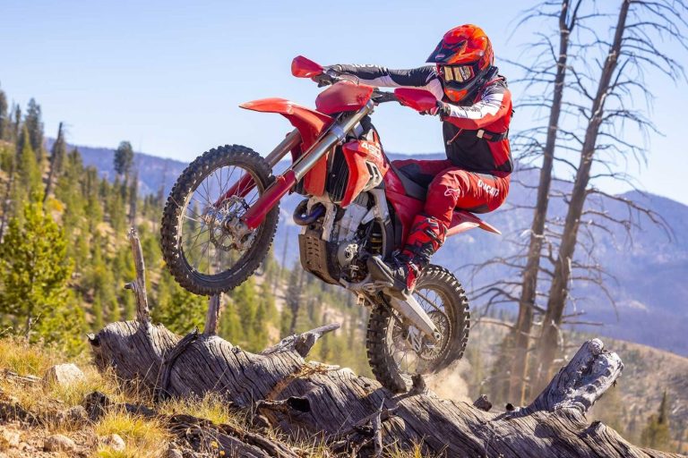 202602ducati-desmo450-edx