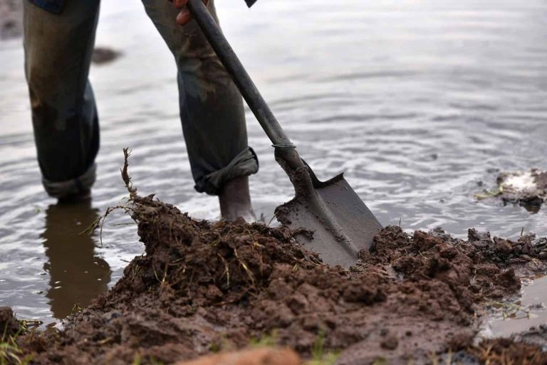 202602gold-panning-5