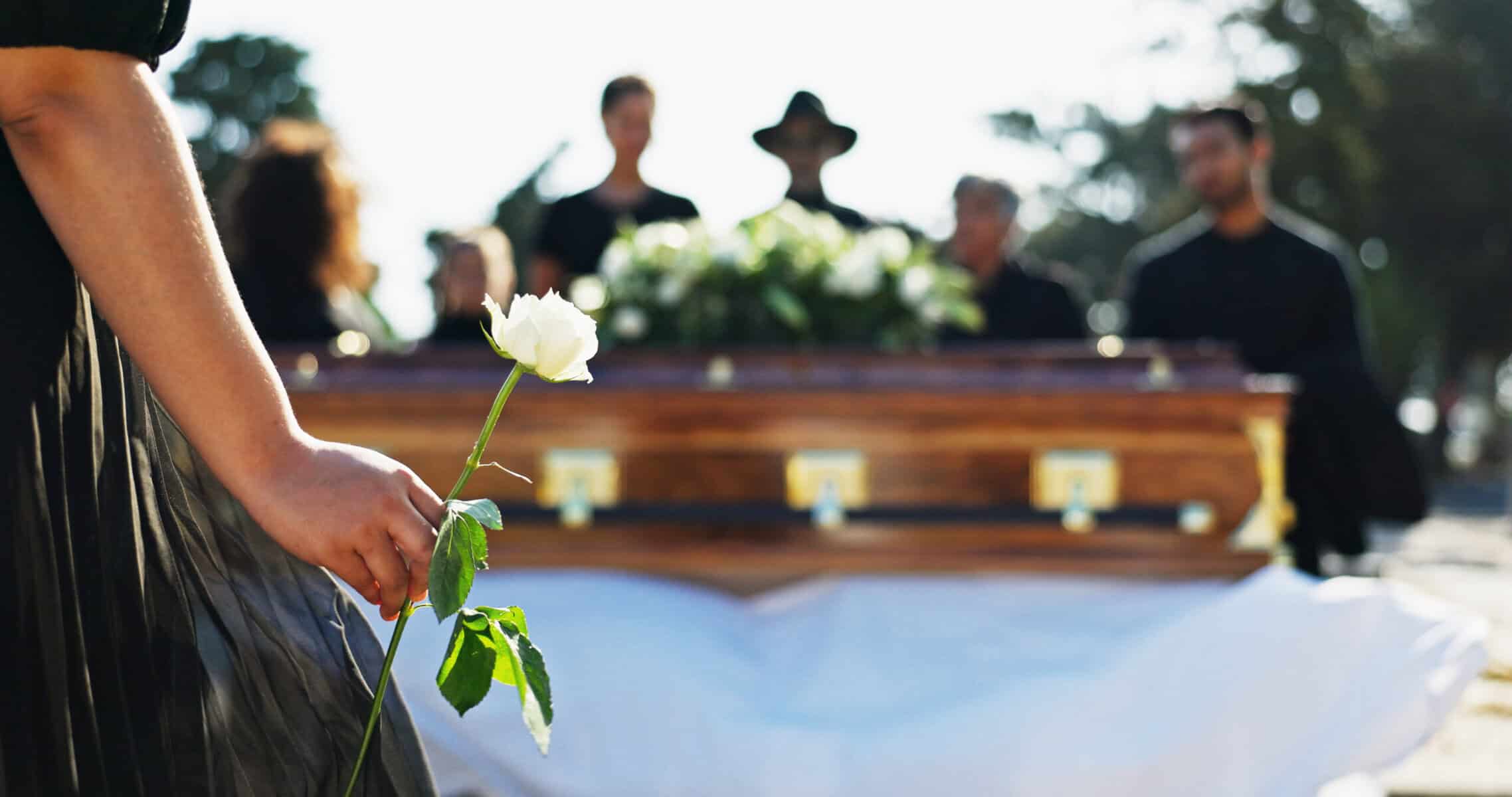 Hand, rose and woman at graveyard for funeral ceremony, grief and memorial service outdoor with family. Flower, death and person by coffin at cemetery for mourning, peace and respect with back view