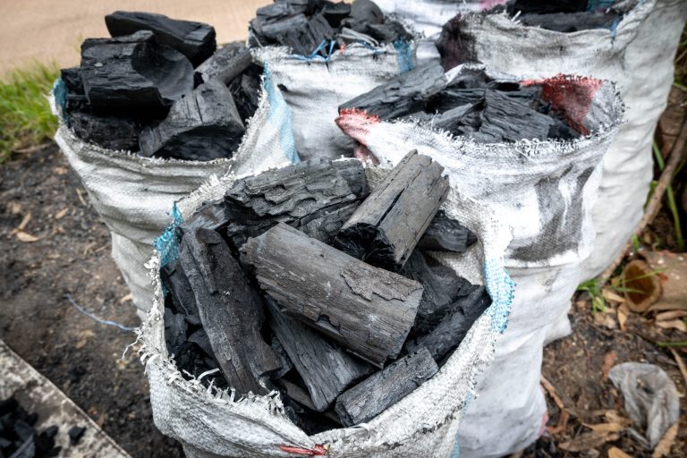 202602shutterstock_2214221867-scaled-1