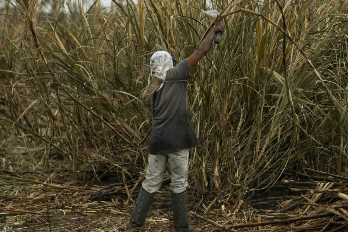 xr:d:DAFQxYVlQJE:3,j:39740808806,t:22110206