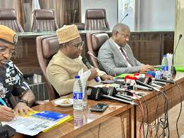 FCT-elections-concerns