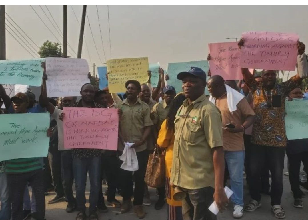 Screenshot_2026-01-23-22-51-19-925_com.android.chrome-edit-e1772115536761