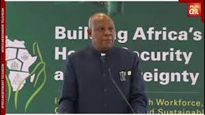 Shettima-Africa-health