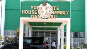 Yobe-Assembly-health-gaps