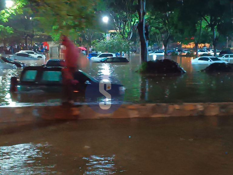 1047377a-33d8-4028-ac39-3b0f7d10065f