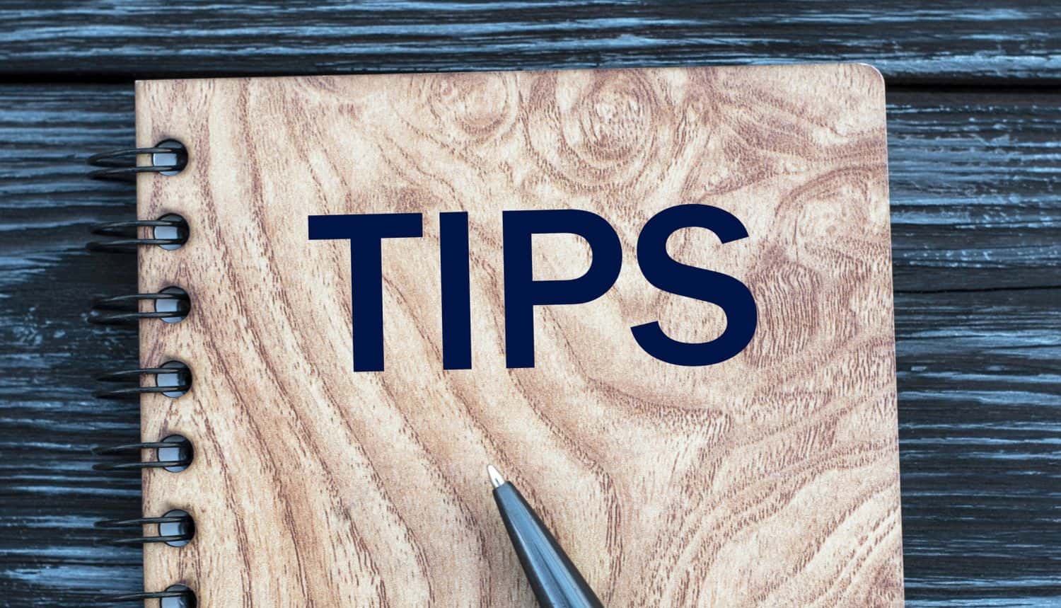 TIPS - word on a beautiful dark background with cactus