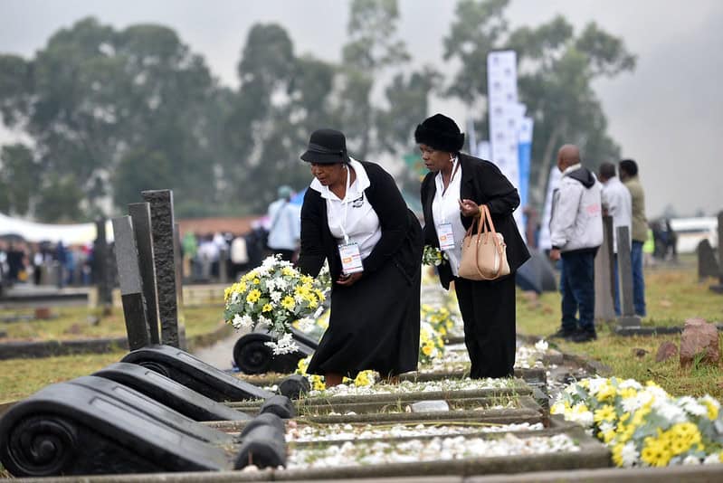 20260355160374987_e006fccb82_c-1