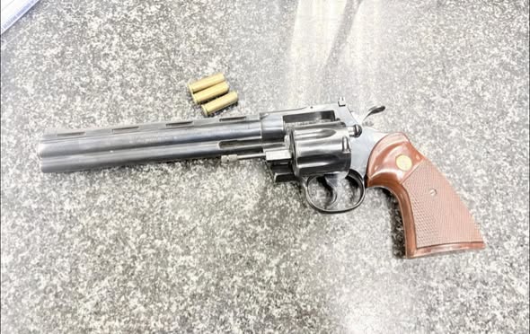 202603649249747_1353404400144530_9163099753527045436_n