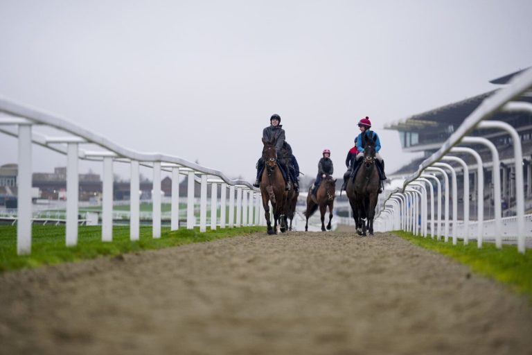 Cheltenham Festival Previews