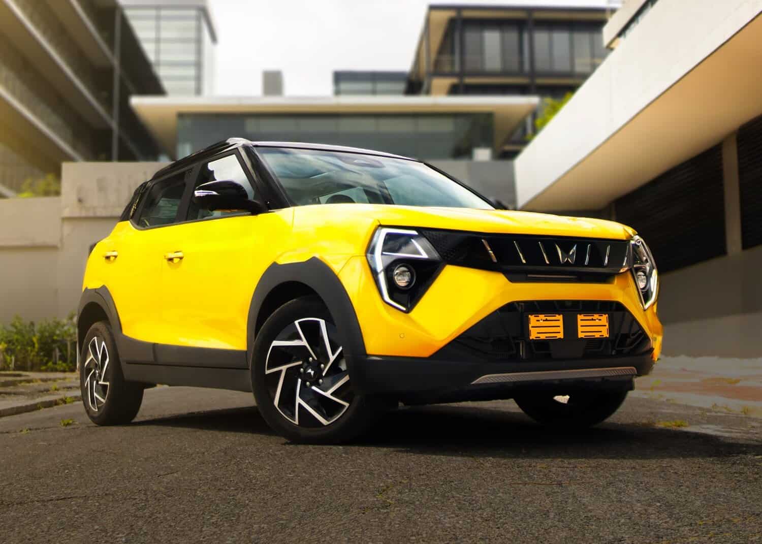 202603DSC04669-Enhanced-NR