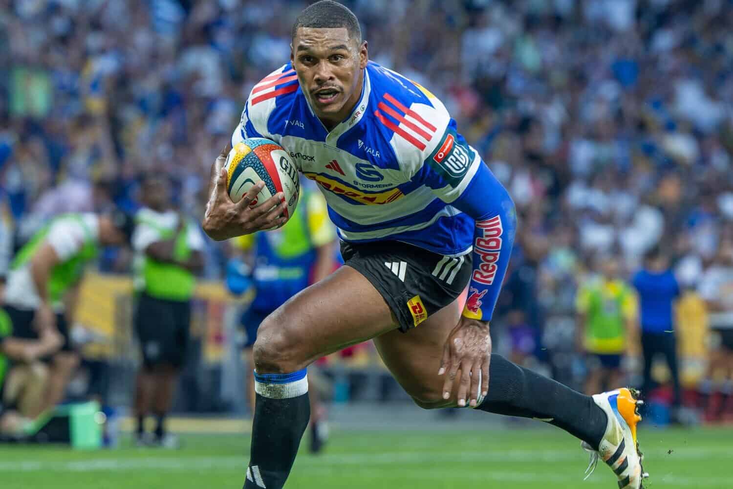 202603Damian-Willemse-2-1