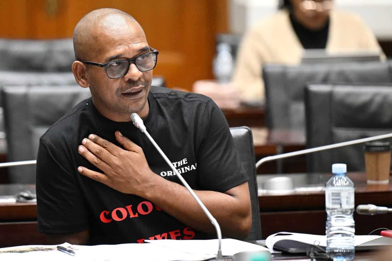 202603Fadiel-Adams-ad-hoc-committee-Mkhwanazi