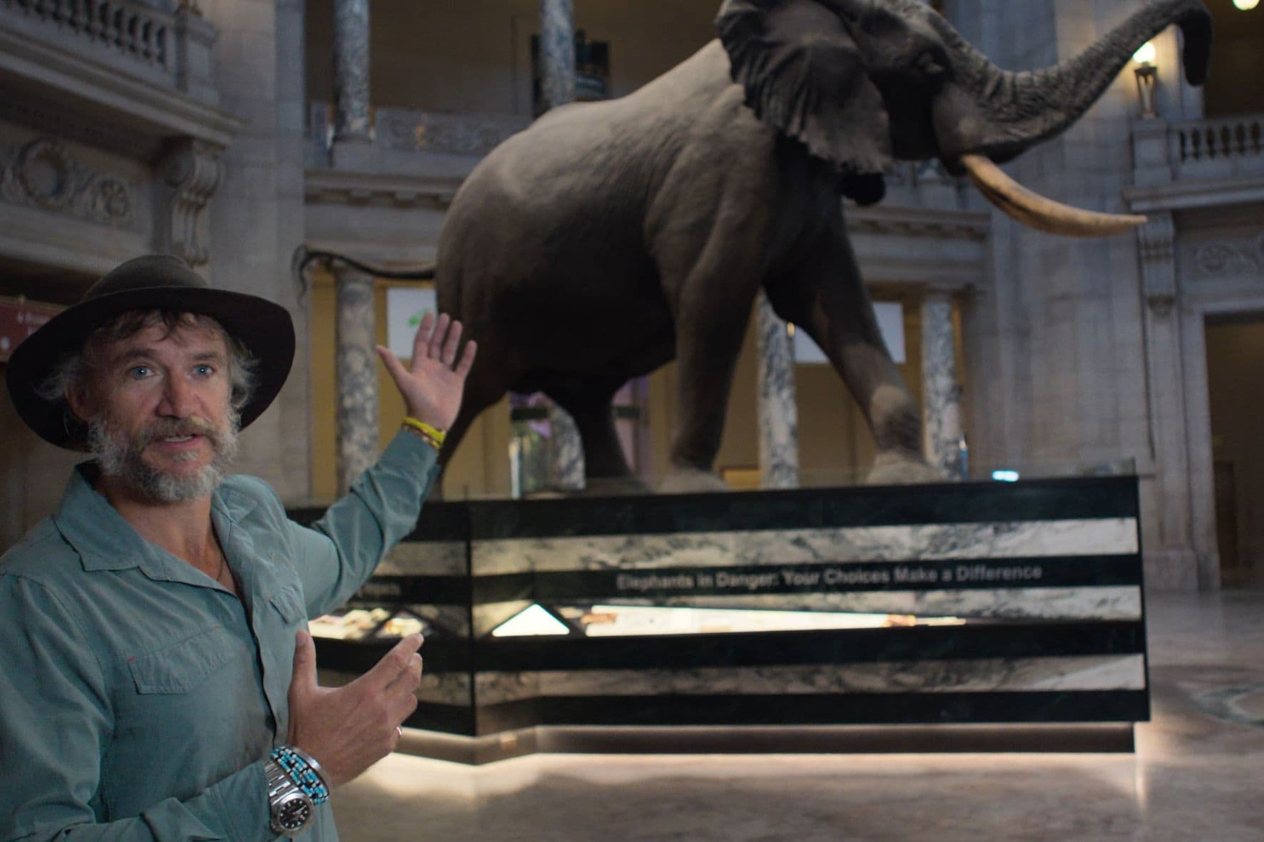 202603Ghost-Elephant-2