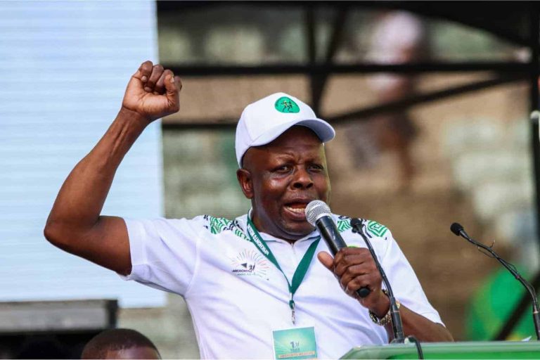 202603Hlophe-reinstated-as-MK-Party-deputy-president-and-parliamentary-leader