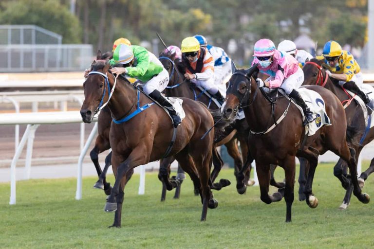 202603Horst-chestnut-racing