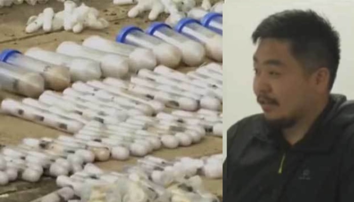 202603Kenya-Charges-Two-Men-Over-Illegal-Wildlife-Trafficking-After-Seizure-Of-2000-Live-Ants