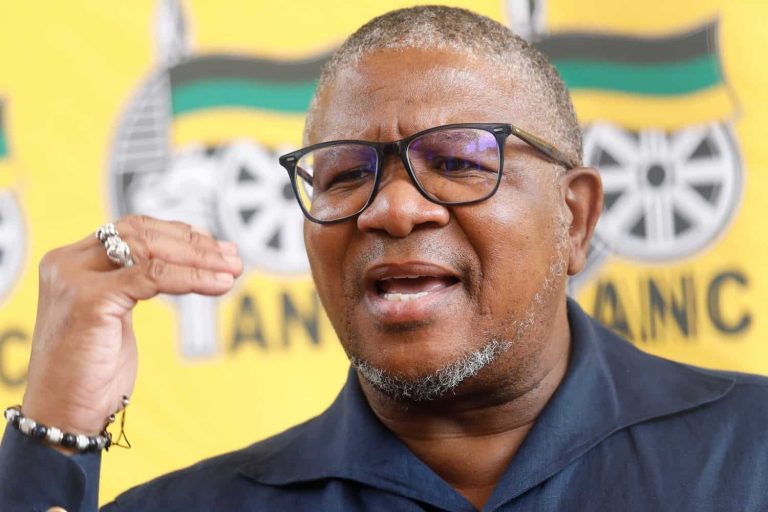 202603Mbalula-AfriForum-Kallie-Kriel-US-ambassador