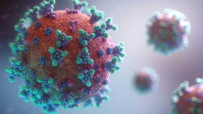 202603Measles-virus