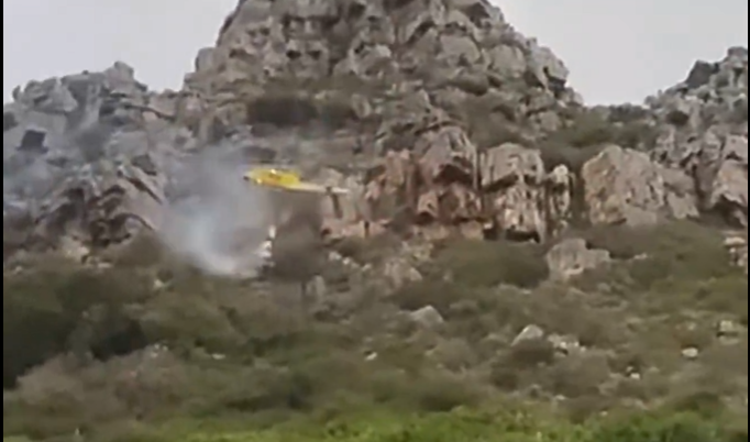 202603Screenshot-2026-03-26-095640