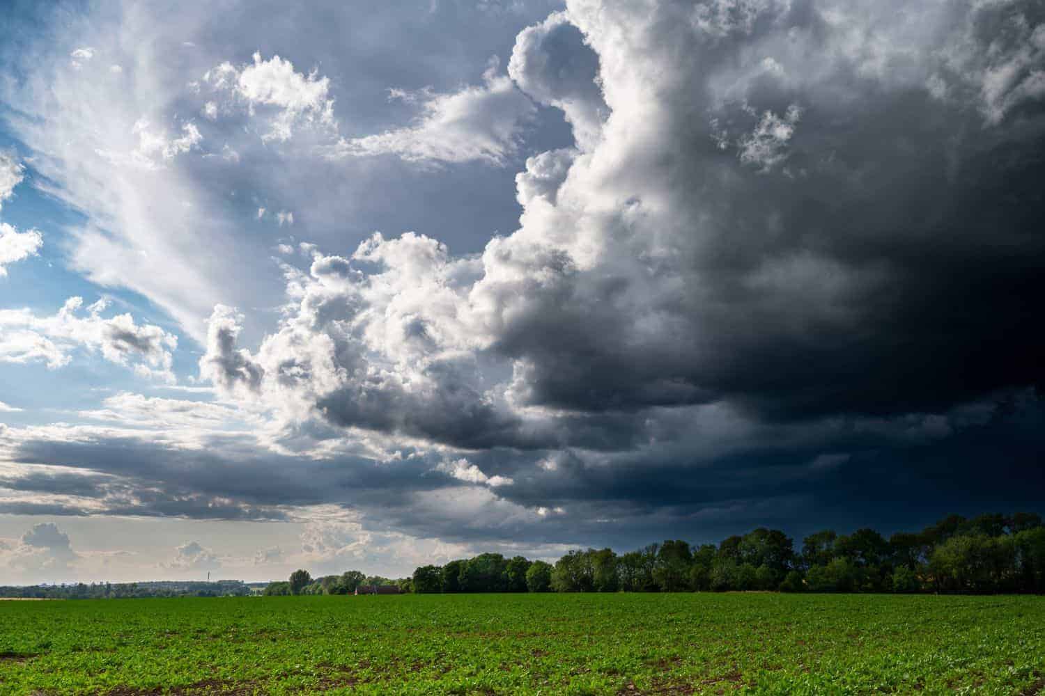202603South-Africa-weather-alert-Sunday-8-March-2026