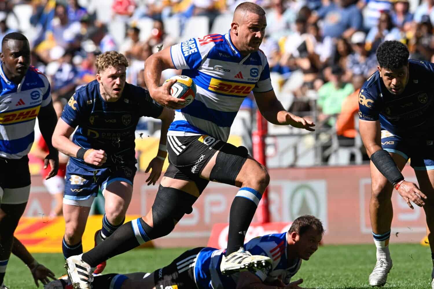 202603Stormers-v-Dragons-1